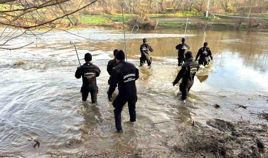 Balıkesir’in Susurluk ilçesinde tarlasını