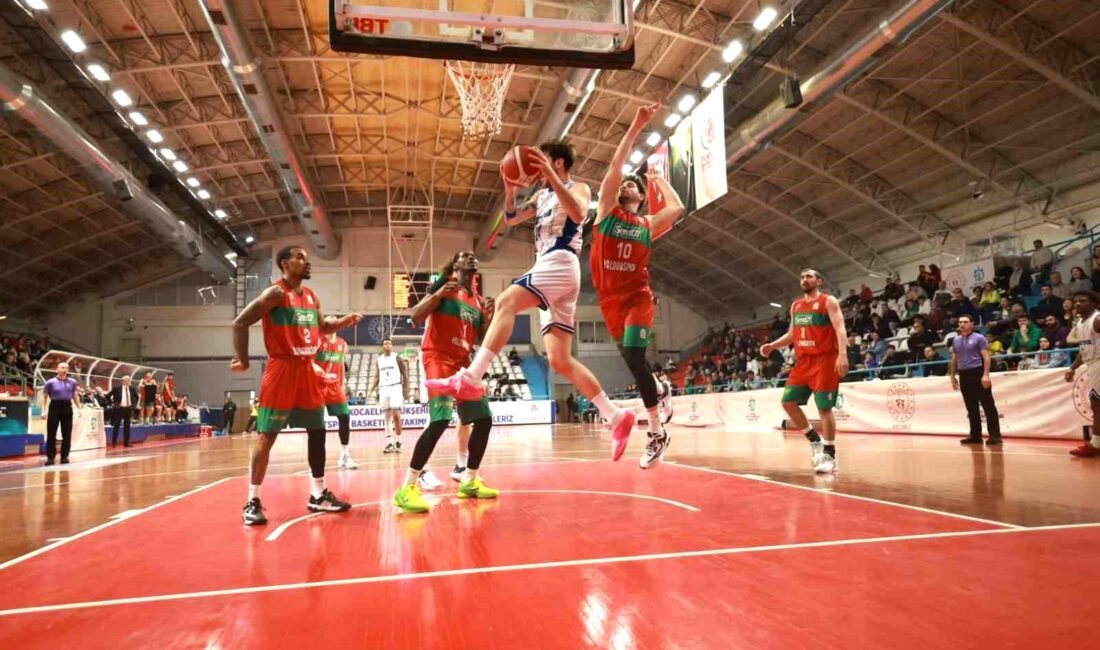 Türkiye Basketbol Ligi 19.