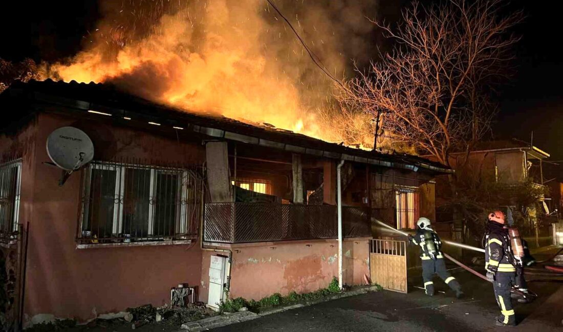 Kocaeli’nin Derince ilçesinde tek