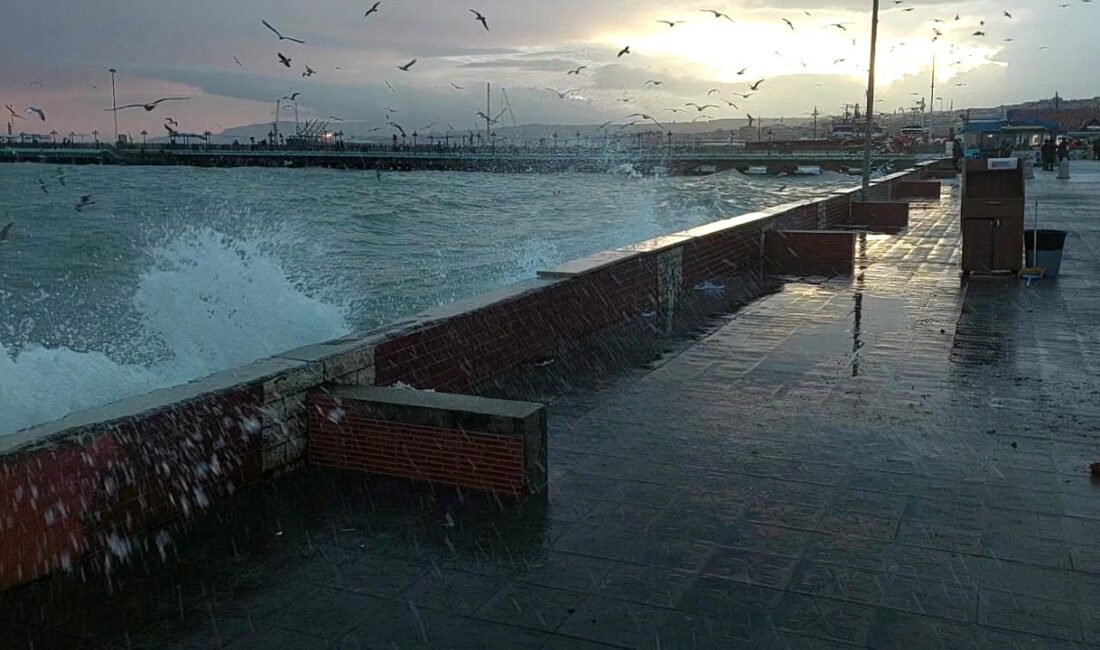 Marmara Denizi’nin Tekirdağ kıyılarında