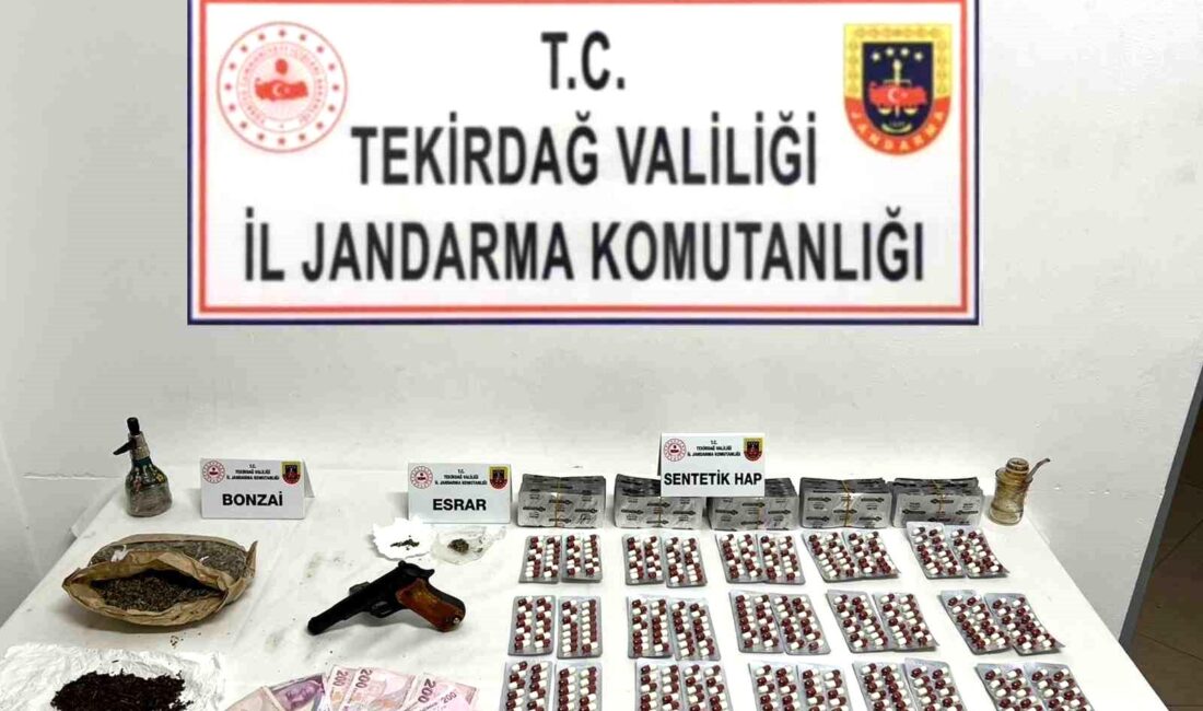 Tekirdağ’da jandarma ekiplerince yapılan