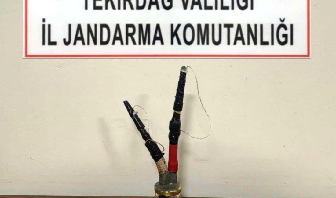 Tekirdağ’da jandarma ekiplerince yapılan