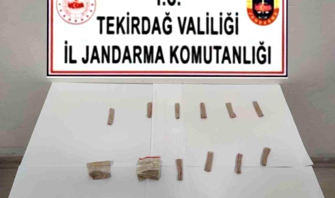 Tekirdağ il genelinde Jandarma