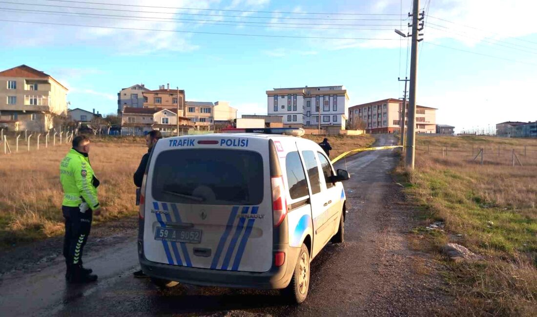 Tekirdağ’ın Ergene ilçesinde yabancı