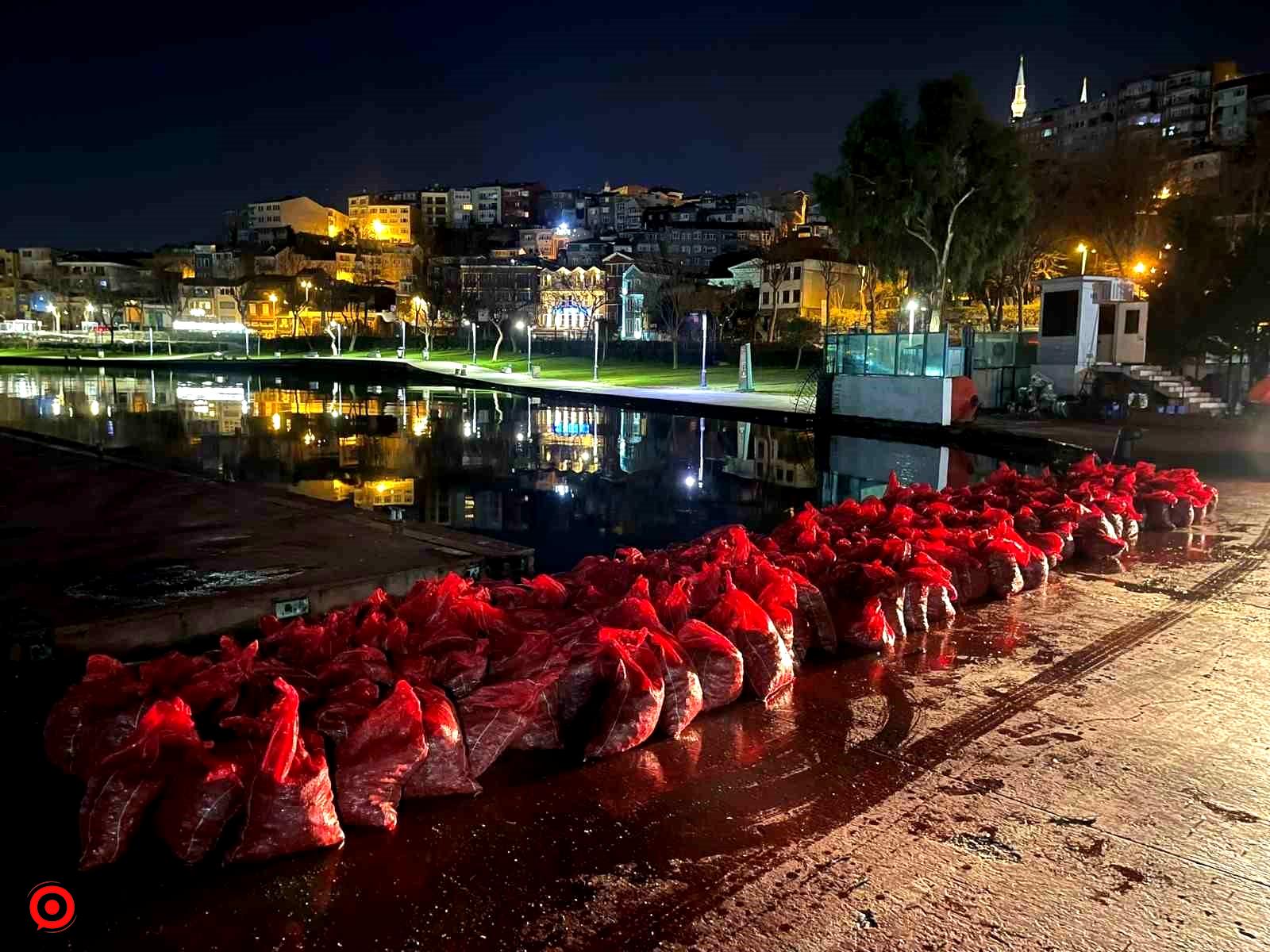 Üsküdar’da 6 ton kaçak midye ele geçirildi