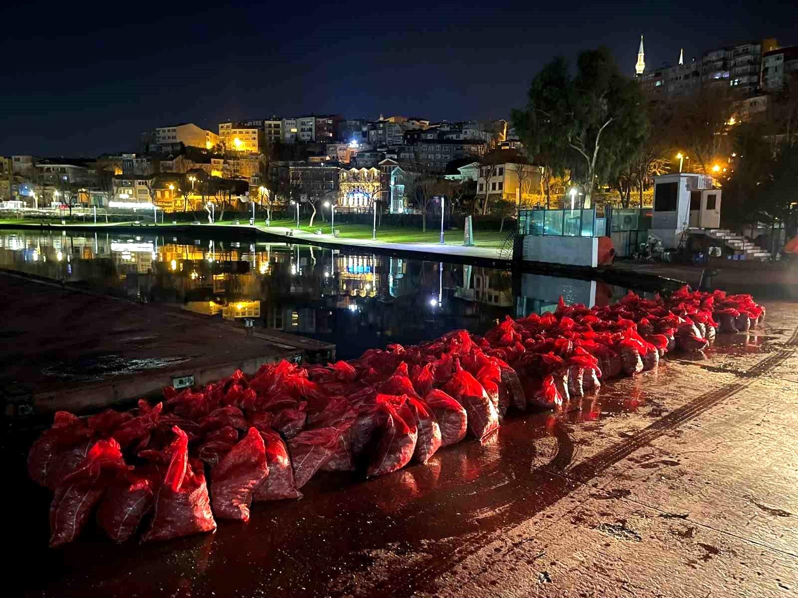 Üsküdar’da 6 ton kaçak midye ele geçirildi