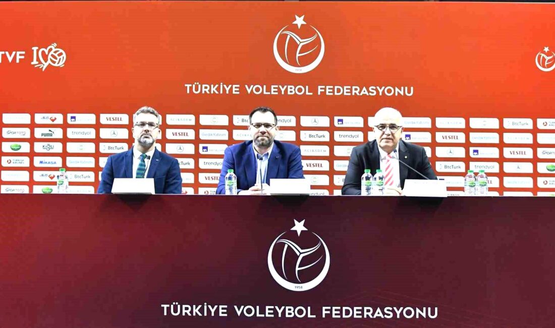 A Milli Erkek Voleybol