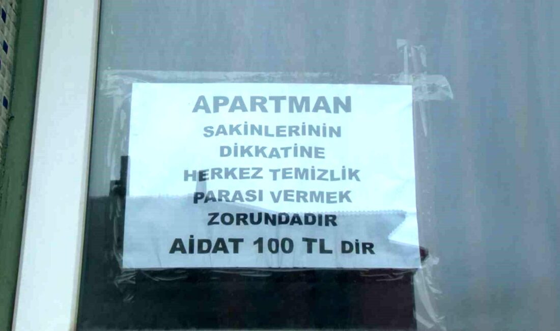 Arnavutköy’de bir aile apartmanında