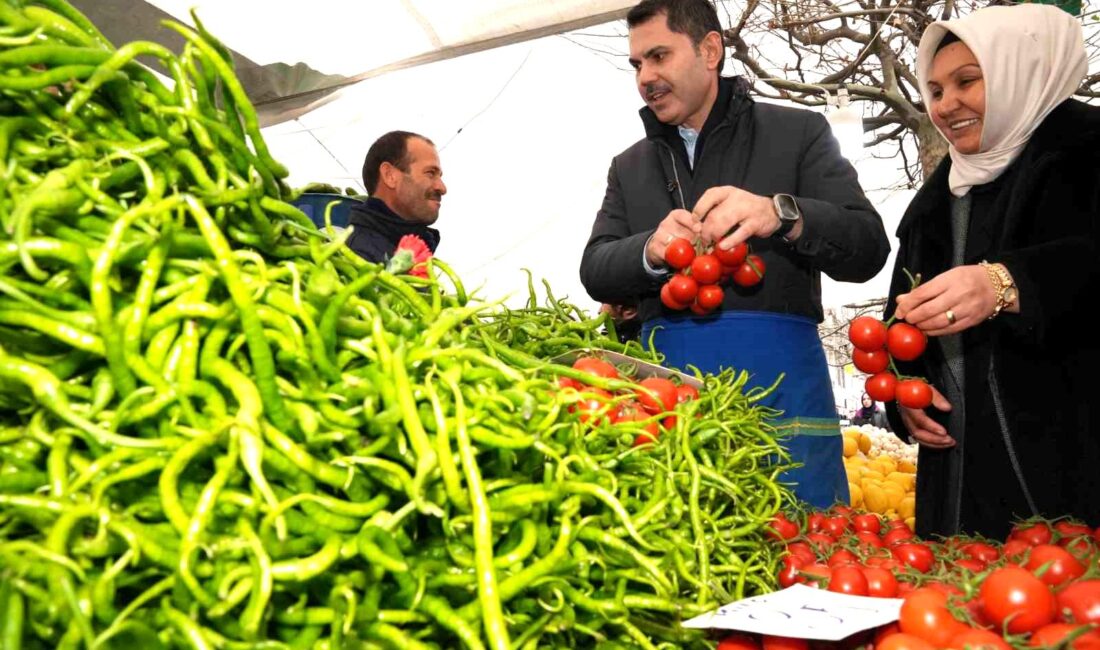 AK Parti İstanbul Büyükşehir