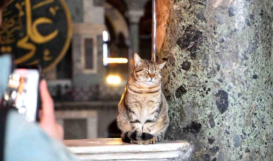 Ayasofya-i Kebir Camii Şerifi’nin