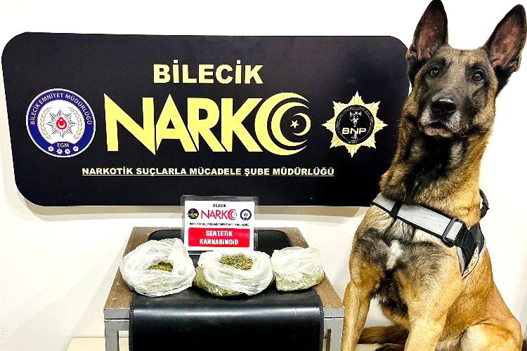 Bilecik'te gerçekleştirilen narkotik operasyonunda