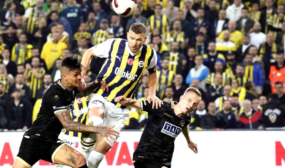 Fenerbahçe’nin Bosna Hersekli forveti