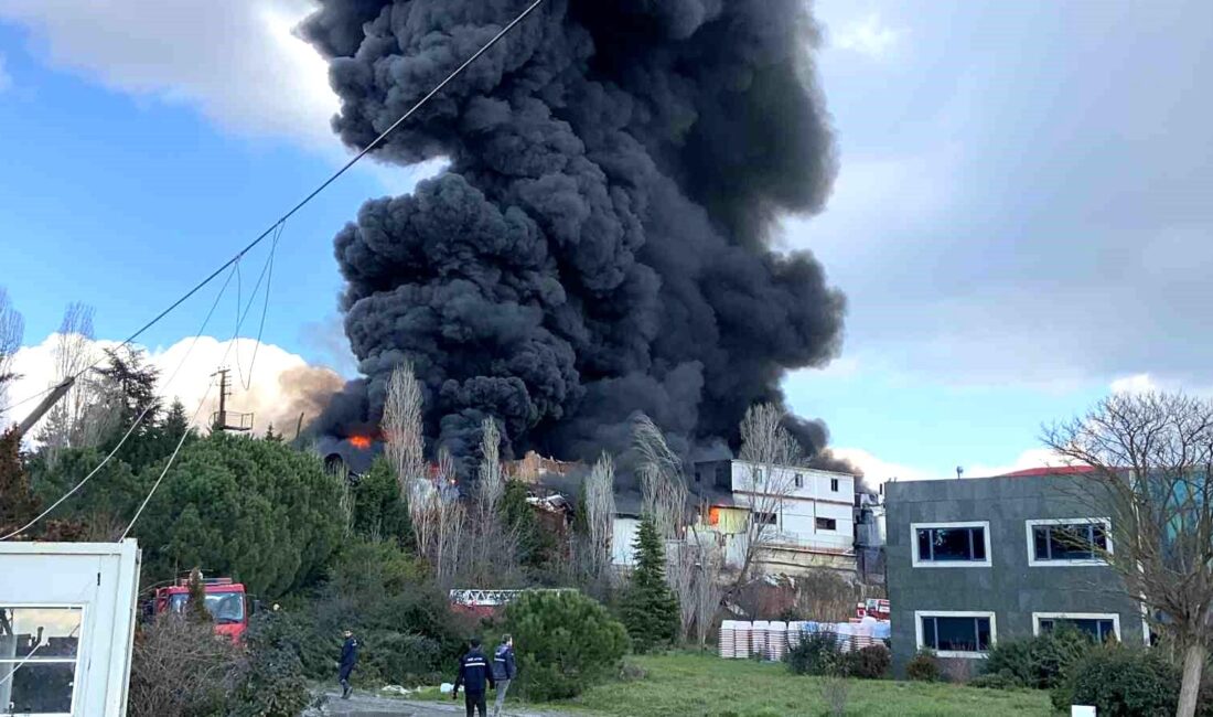 Kocaeli’nin Gebze ilçesinde boya