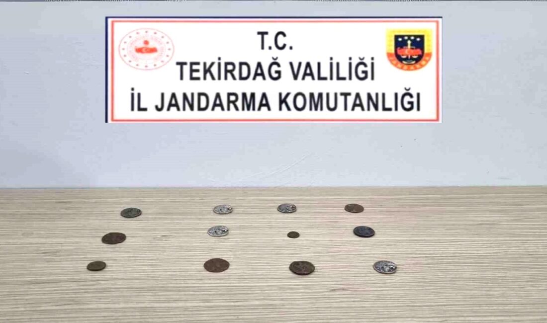 Tekirdağ’ın Saray ilçesinde bir