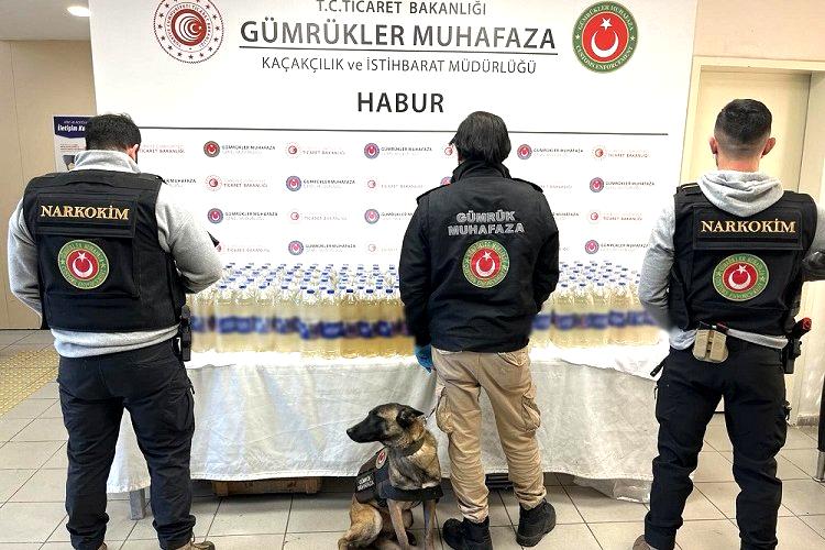 Habur Gümrük Kapısı’nda zehir operasyonu