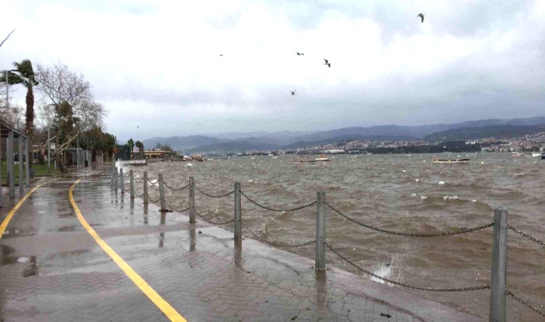 İzmit Körfezi’nde etkili olan