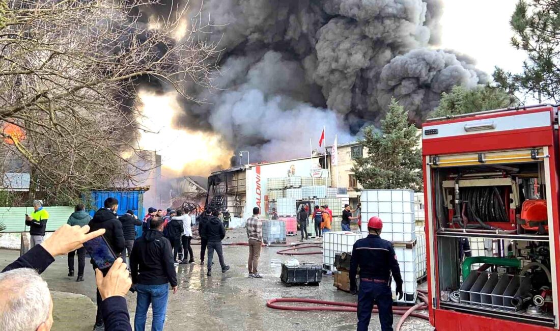 Kocaeli’nin Gebze ilçesinde yangının