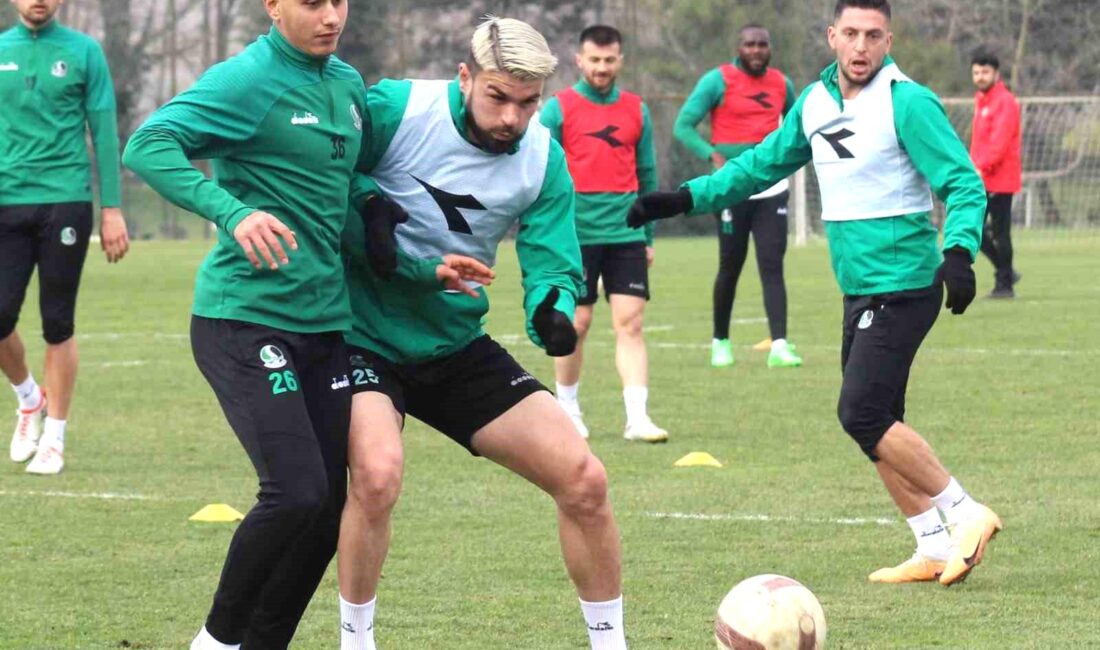 Sakaryaspor, Trendyol 1. Lig’in