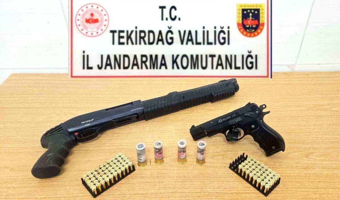 Tekirdağ’da Jandarma ekiplerince yapılan