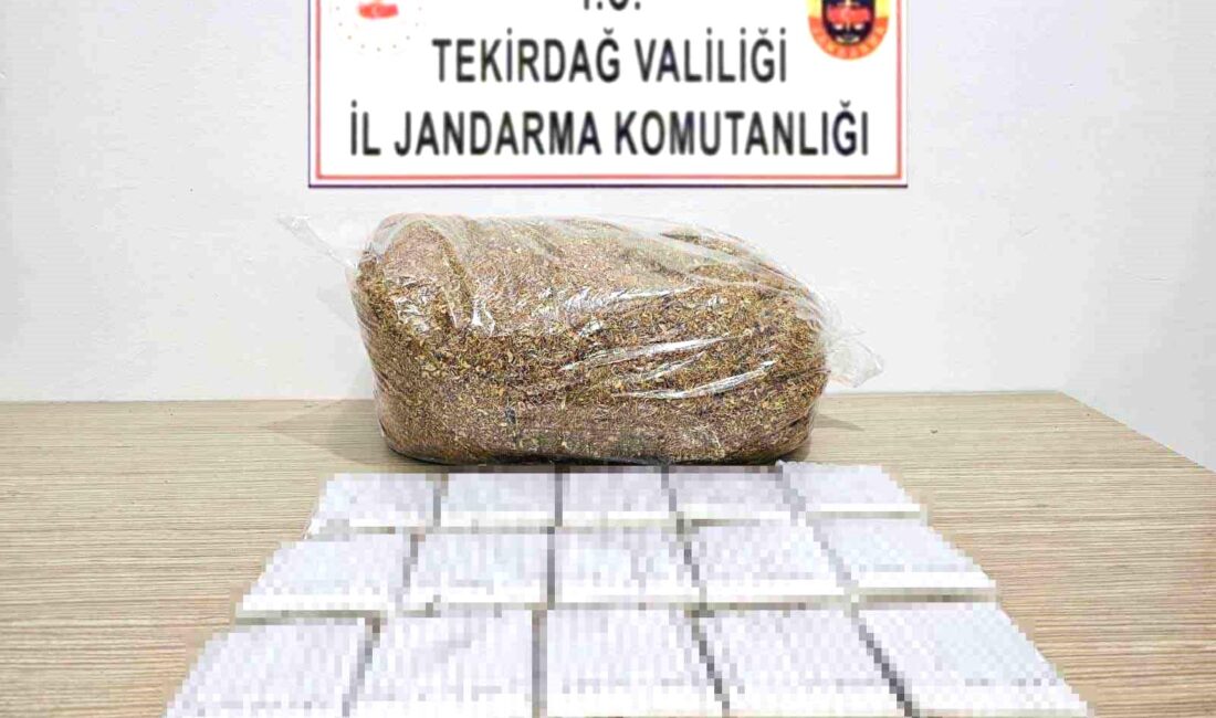 Tekirdağ’da jandarma ekiplerince yapılan