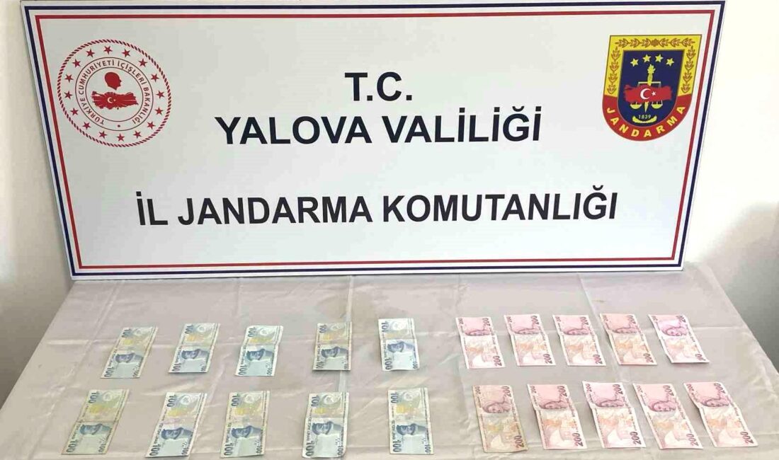 Yalova ve İstanbul’da jandarma