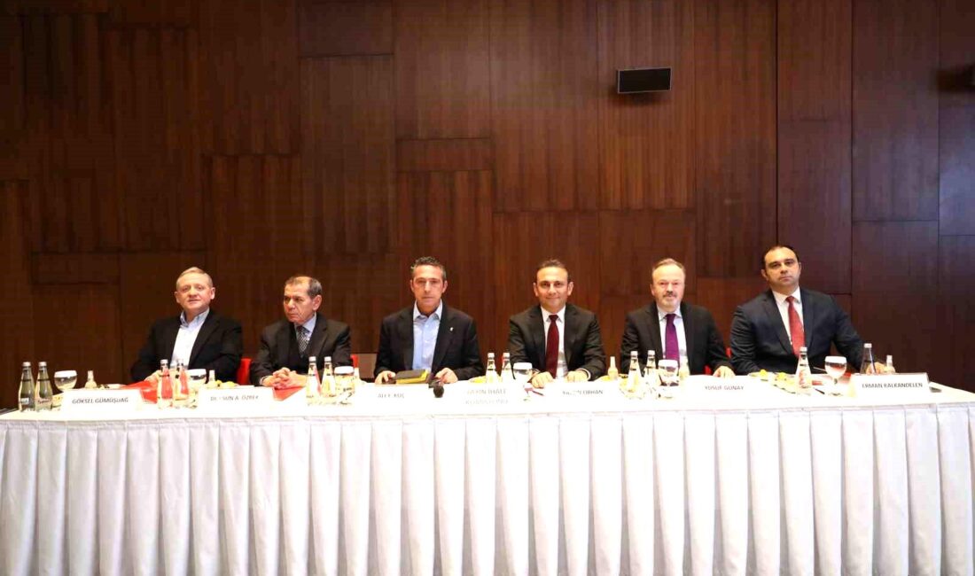 Türkiye Futbol Federasyonu ve
