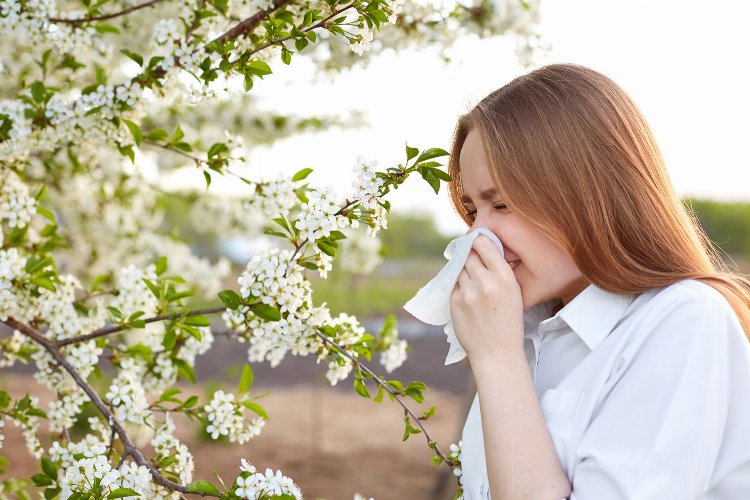 Baharla birlikte alerji mevsimi