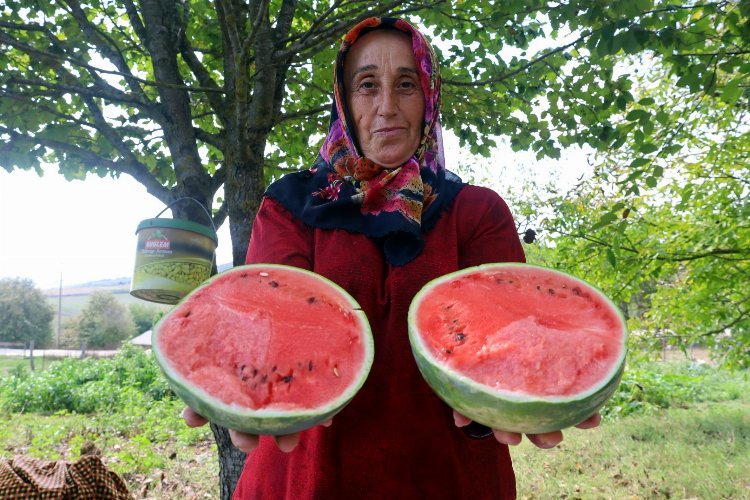 Kocaeli Büyükşehir Belediyesi, üreticilere