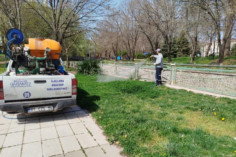 Gaziantep Büyükşehir, ilaçlama çalışmalarına yoğunlaştı