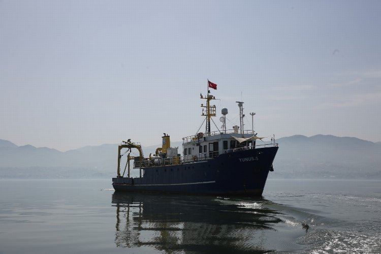 İzmit Körfezi’nde biyoçeşitlilik araştırılıyor