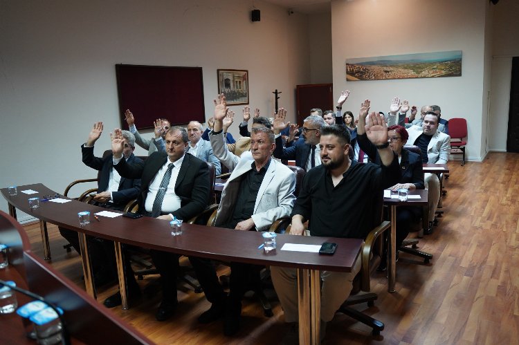 Bursa'da iki ilçe İznik Gölü için toplandı