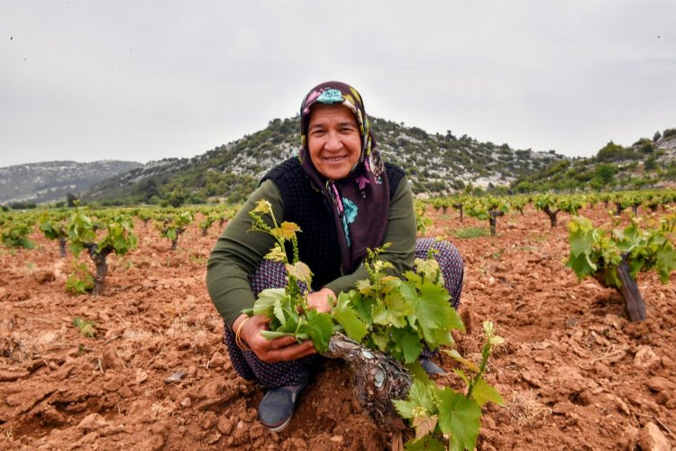 Denizli'de tüketicilerin daha sağlıklı