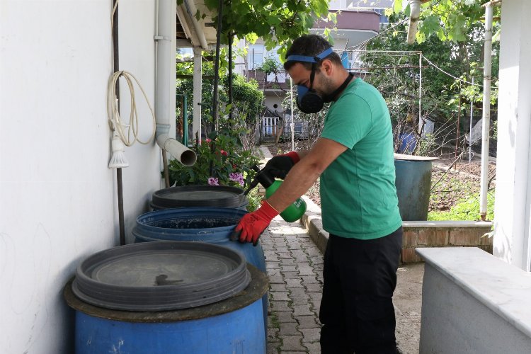 Kocaeli’de sivrisineklerle mücadele çalışmaları sürüyor