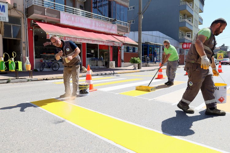 Sakarya Büyükşehir Belediyesi,şehir genelinde