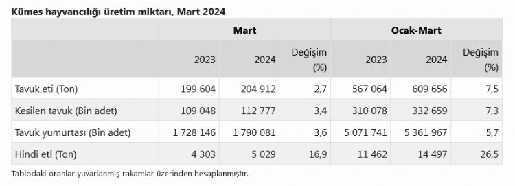 Tavuk yumurtası üretimi yüzde 3,6 arttı