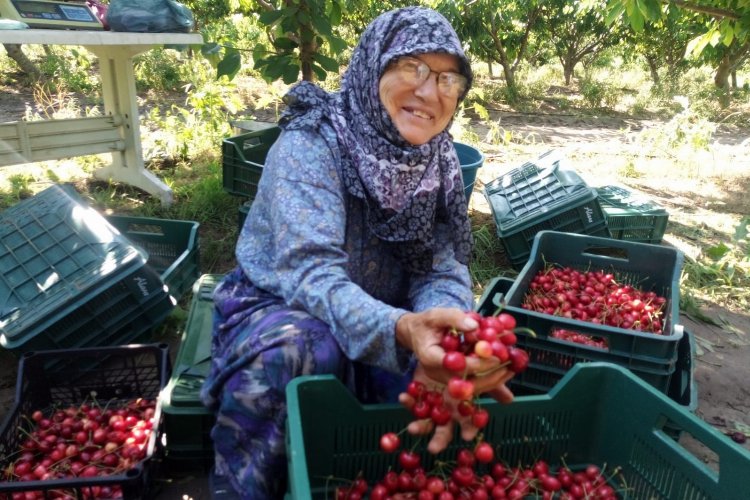 Edirne'nin Enez ilçesi Çeribaşı