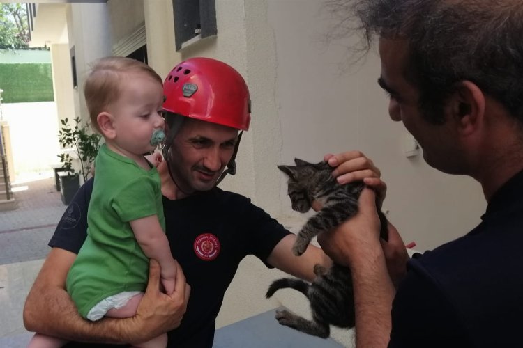 En çok kediler kurtarıldı… İstanbul’da 5 ayda 6 bin hayvan kurtarıldı
