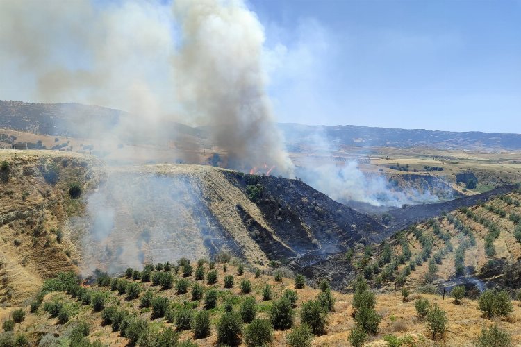 Manisa Alaşehir’de korkutan yangın kontrol altına alındı