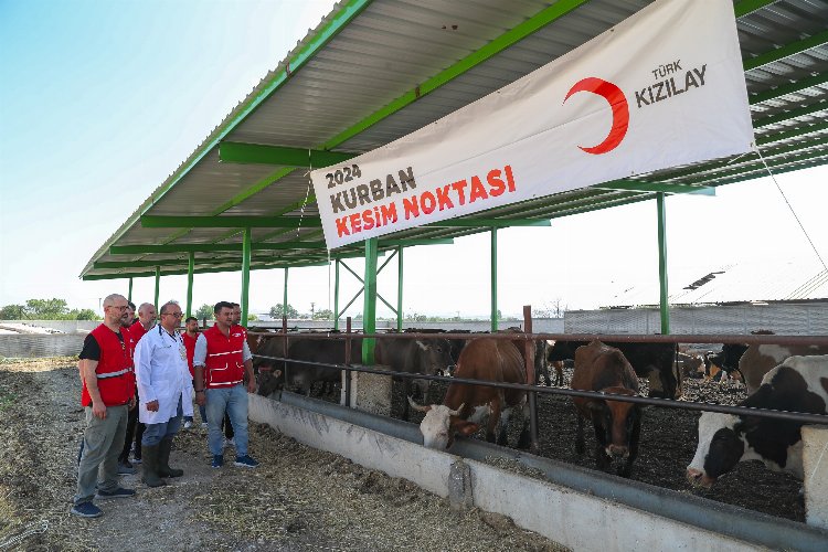 Türk Kızılay'ın kurban kesimleri 19 ülkede sürüyor