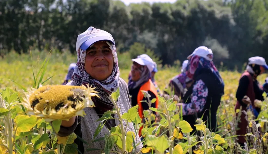 Türkiye Ziraat Odaları Birliği