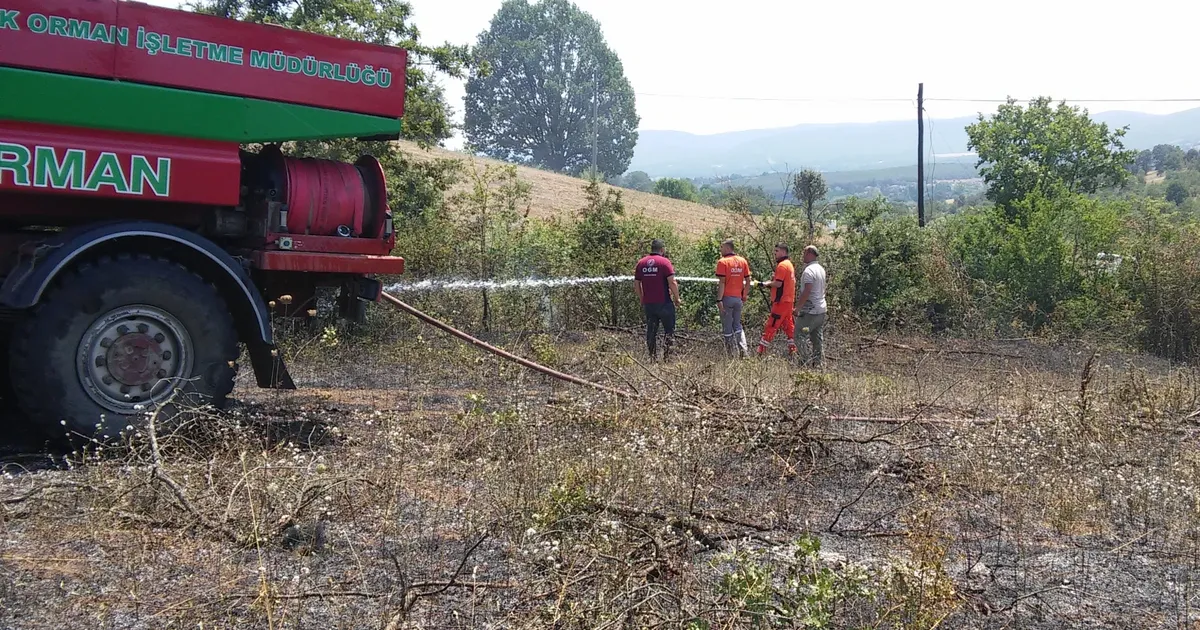 Bilecik’te arazi yangını! 1 kişi dumandan etkilendi