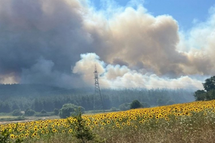 Bursa Nilüfer’deki orman yangını üniversiteye sıçradı