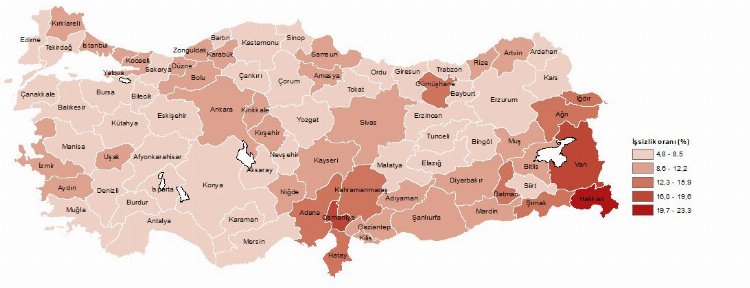 İstihdamı en yüksek il Ardahan