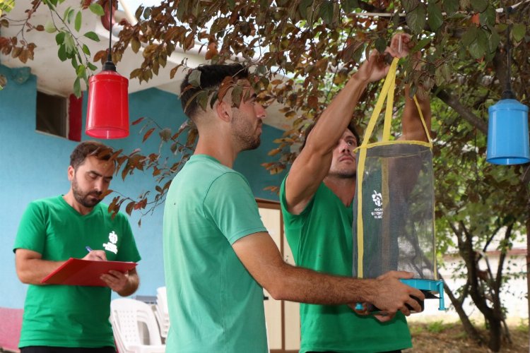 Kocaeli’de karasinek kapanları yaygınlaşıyor