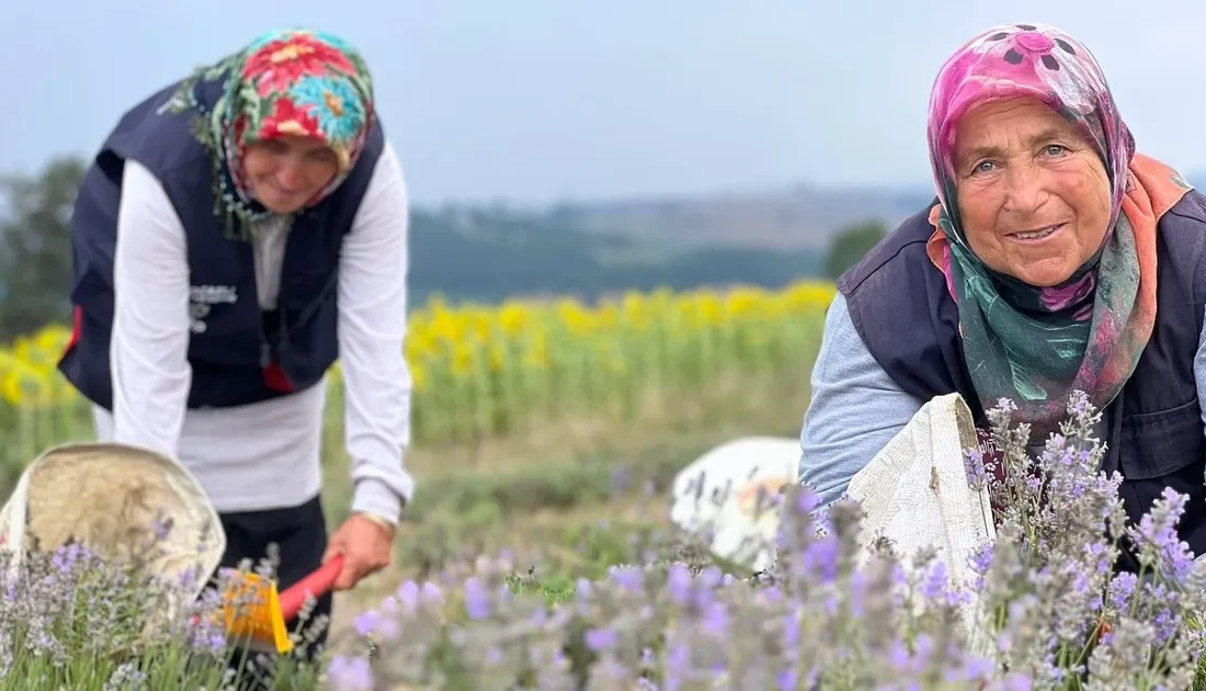 Büyükşehir Belediyesince katma değeri yüksek