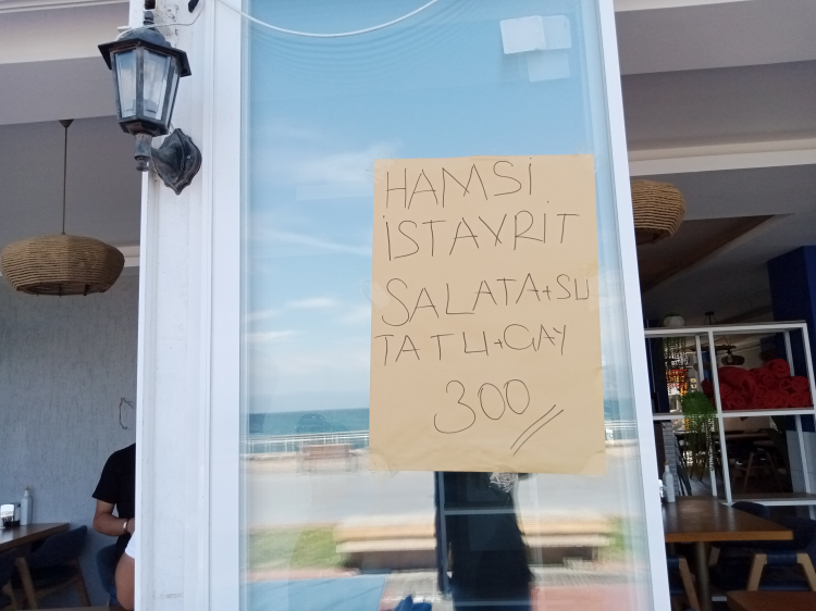 Mudanya sahilinde balık ekmek ilgi odağı oluyor