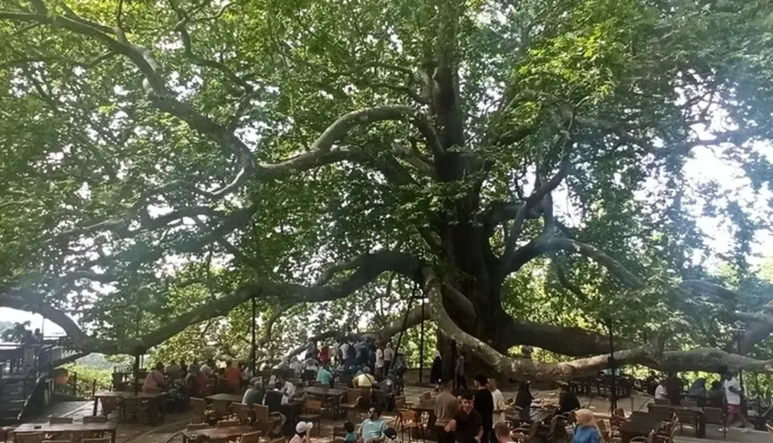 Bursa, Türkiye'nin tarihi ve