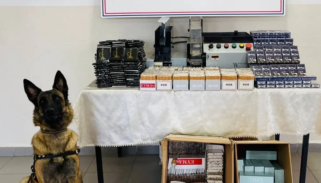 Düzce'de İl Jandarma Komutanclığı'nca