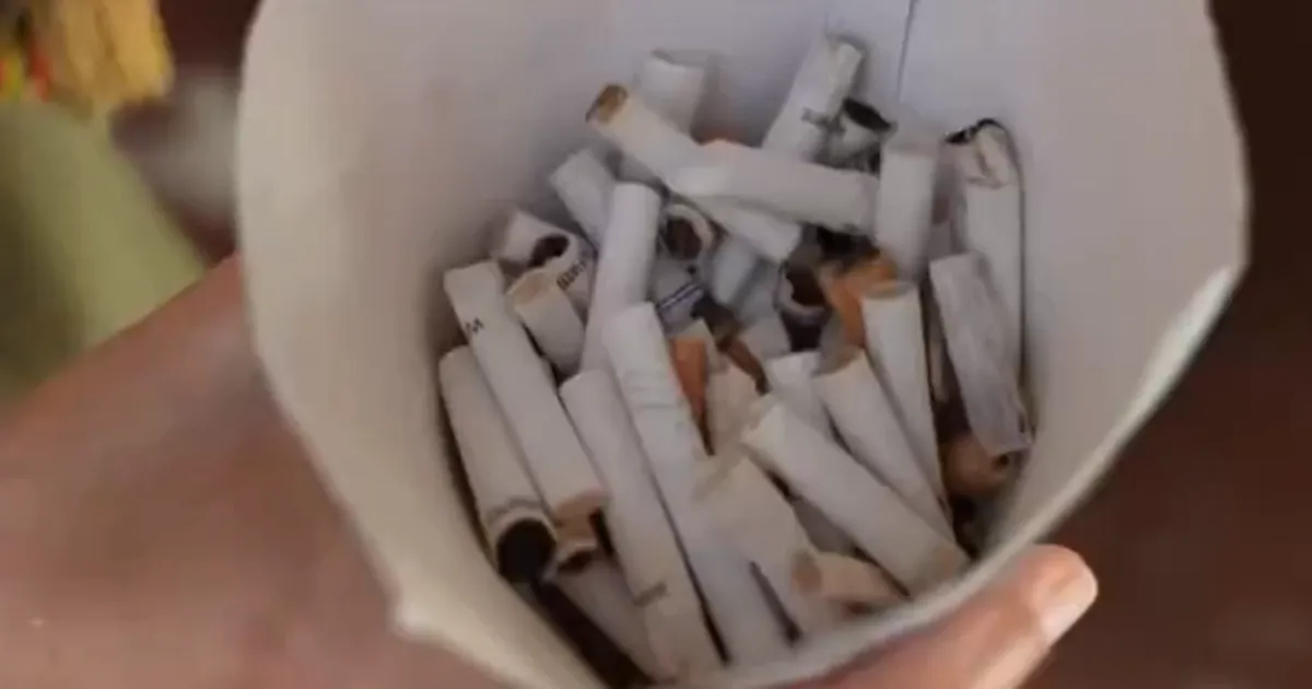 İzmir Çeşme plajlarında örnek uygulama... Topla izmariti, iç meşrubatı