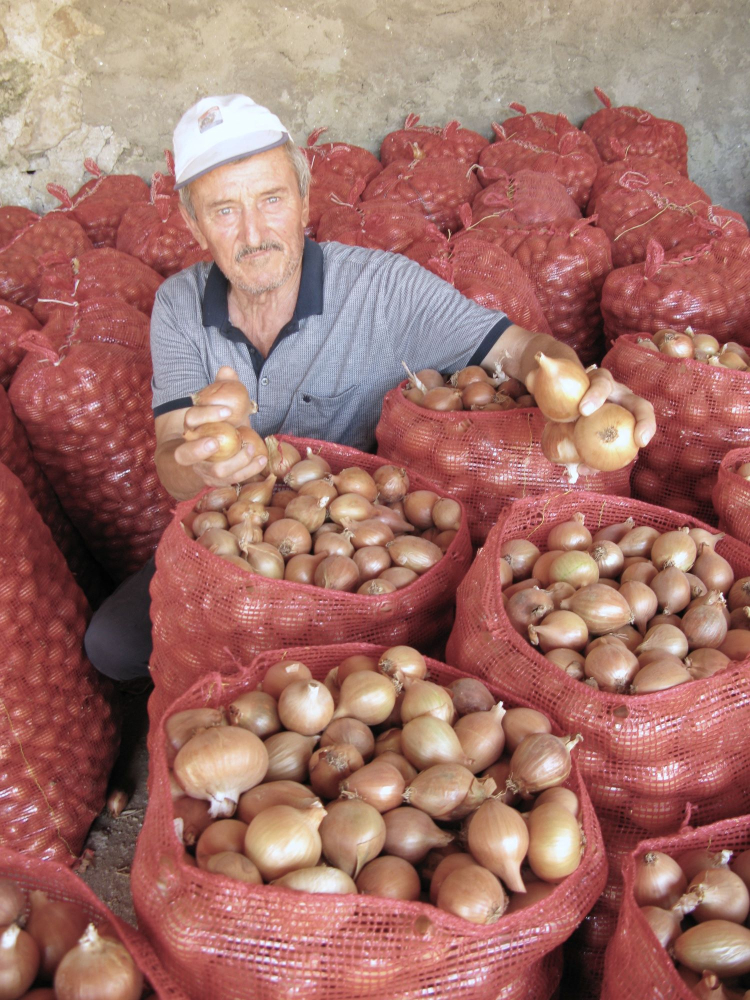 Yenişehirli çiftçiler umduğunu bulamadı